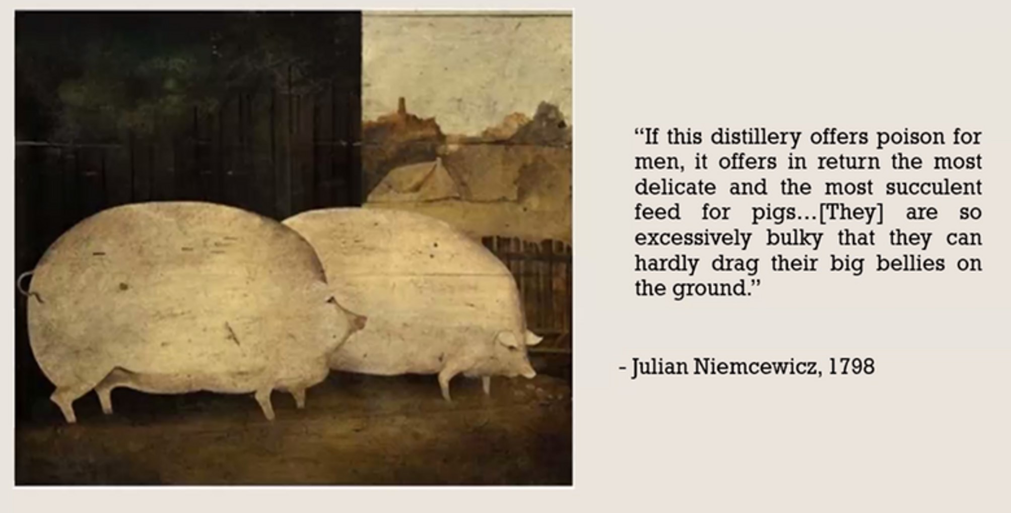 pig quote