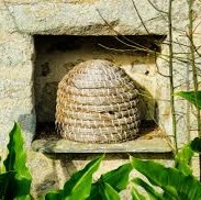 beehive