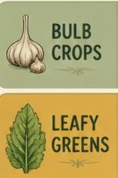 bulbs and leafy greens