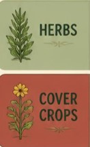 herbs and cover crops