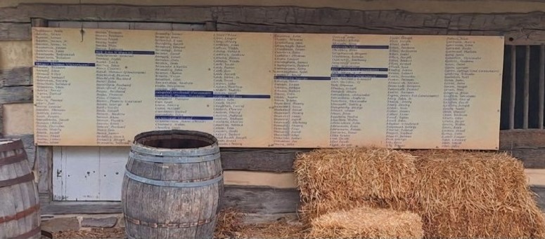 Rev War Patriot name display
