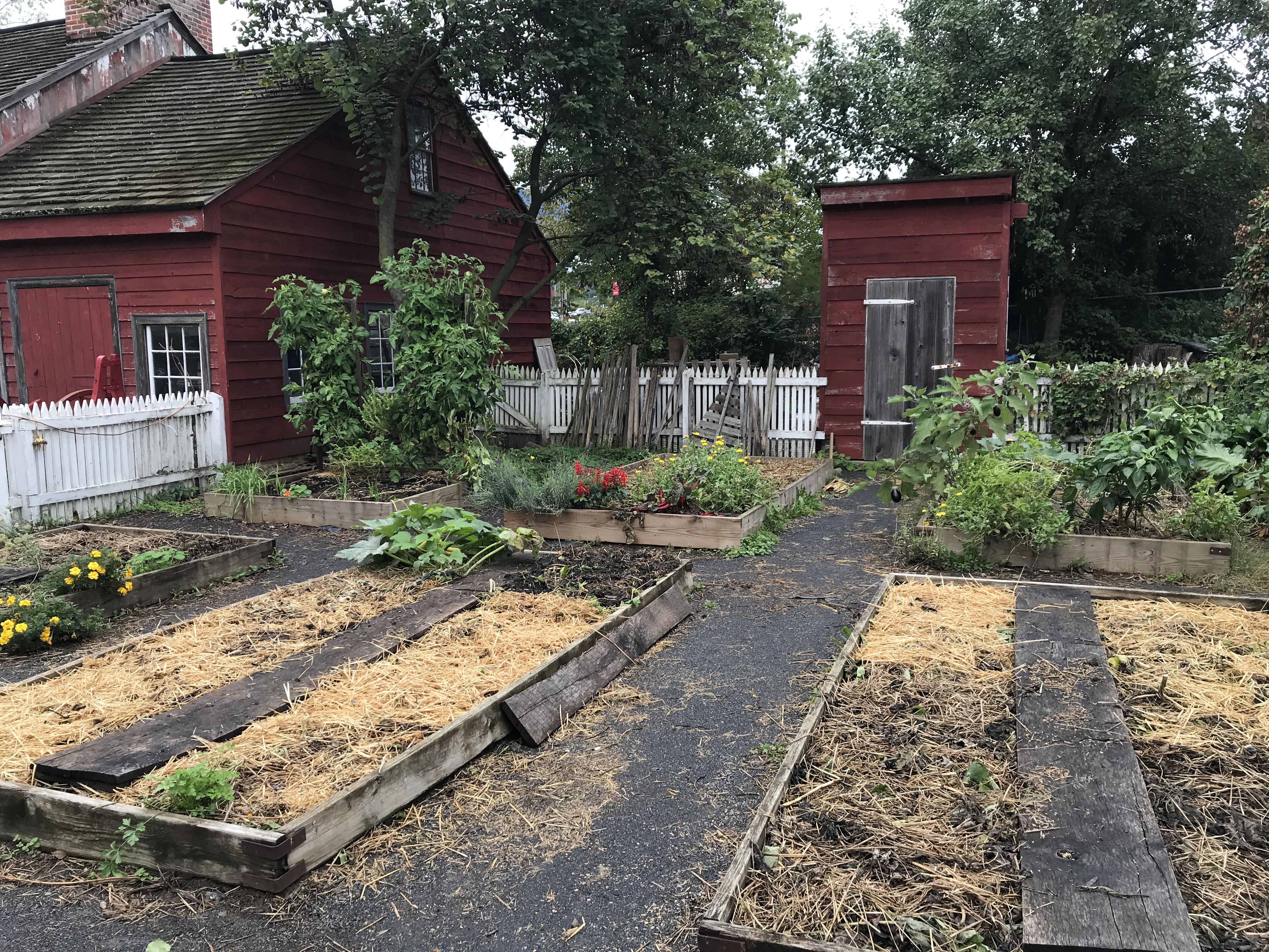 garden